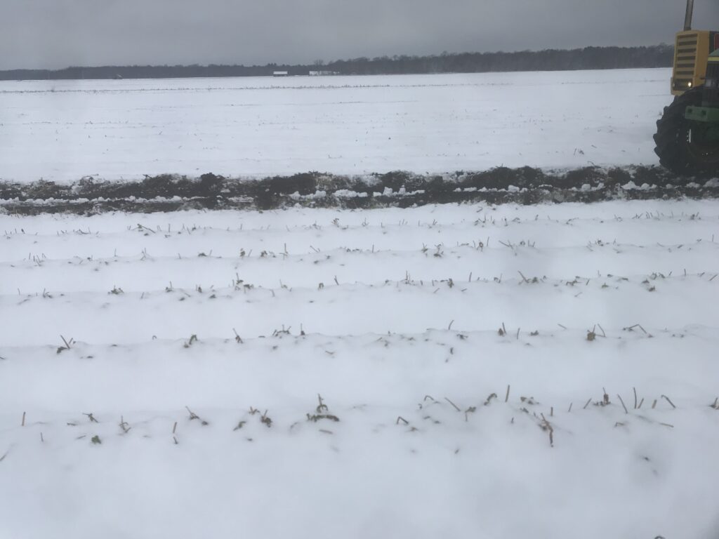 fields in winter - image
