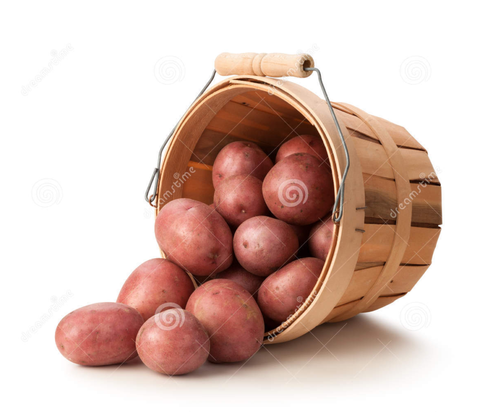 Red potatoes in basket - image